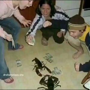 Meet your Posher, Wesley